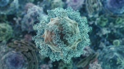 實驗性KRAS疫苗突破性研究：有望預防胰臟癌