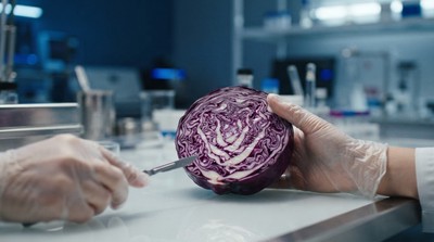 迦納專家揭食品安全常見盲點 提醒消費者留意潛藏健康危機