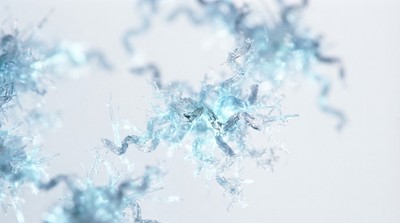 中佛羅里達大學獲千萬補助 研發精準療法「餓死」萊姆病菌