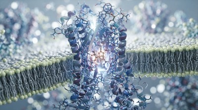 科學家揭示麻醉影響大腦機制 望提升手術安全