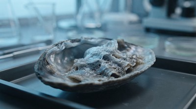 蛤蜊實驗開藥物新徑：德州高中生獲英特爾科學獎15萬美元
