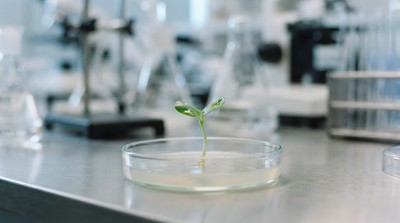 短期純素飲食有助減緩細胞老化　研究：一個月即可觀察到變化