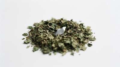 澳洲公司召回薄荷葉產品　因供應鏈混入金屬異物