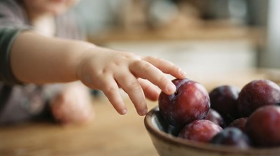 印尼免費餐食計畫傳童死亡　引發食品安全與監管疑慮