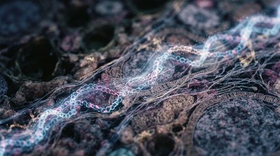 生物標記成藥物開發新利器 助精準醫療走向成熟