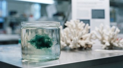 美國CDC報告示警：海洋毒素威脅食品安全 海鮮食物中毒頻傳