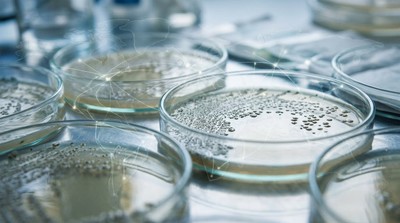 美國 FDA 警示進口商　防沙門氏菌食安鏈驗證成關鍵