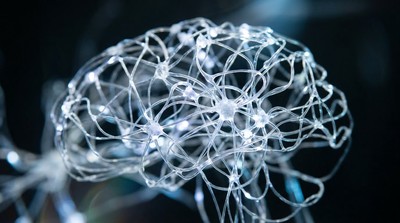 腦深層刺激術助解強迫症腦部機制　精準治療露曙光